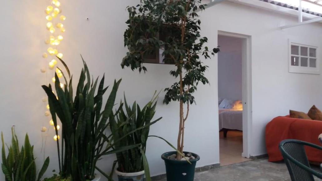 Hostal Casa 95 Vicuña Exterior foto